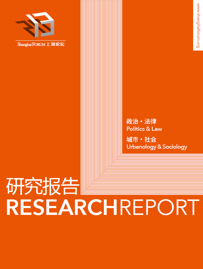 2013研究报告 （政治、法律、城市、社会）